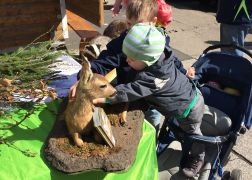 Holzmarkt 2018  In Jena 0019